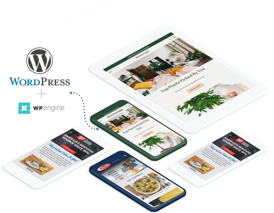 WordPress   Development - 满冠体育
